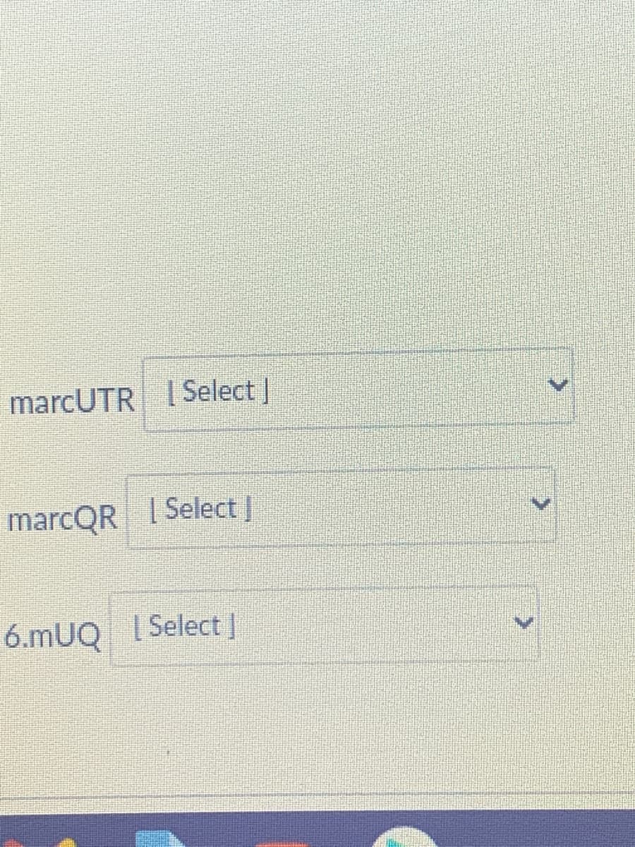 marcUTR I Select |
marcQR I Select|
6.mUQ I Select|
