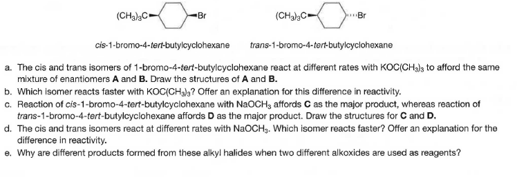 (CH3)3C-
(CHa)3C
Br
Br
cis-1-bromo-4-tert-butylcyclohexane
trans-1-bromo-4-tert-butylcyclohexane
a. The cis and trans isomers of 1-bromo-4-tert-butylcyclohexane react at different rates with KOC(CH)3 to afford the same
mixture of enantiomers A and B. Draw the structures of A and B.
b. Which isomer reacts faster with KOC(CHa)g? Offer an explanation for this difference in reactivity.
c. Reaction of cis-1-bromo-4-tert-butylcyclohexane with NAOCH3 affords C as the major product, whereas reaction of
trans-1-bromo-4-tert-butylcyclohexane affords D as the major product. Draw the structures for C and D.
d. The cis and trans isomers react at different rates with NaOCH3. Which isomer reacts faster? Offer an explanation for the
difference in reactivity.
e. Why are different products formed from these alkyl halides when two different alkoxides are used as reagents?
