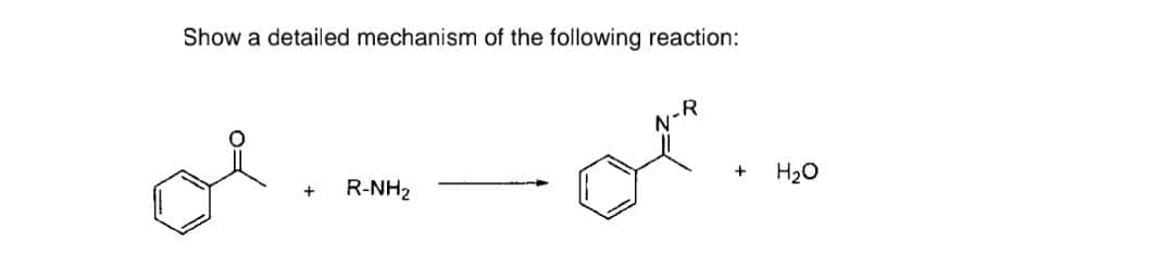 Show a detailed mechanism of the following reaction:
+
R-NH₂
R
+ H₂O