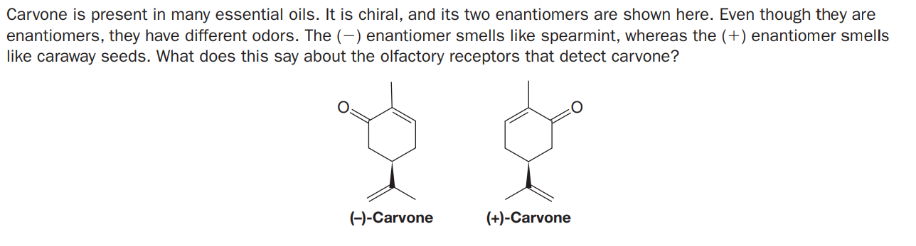 Carvone is present in many essential oils. It is chiral, and its two enantiomers are shown here. Even though they are
enantiomers, they have different odors. The (-) enantiomer smells like spearmint, whereas the (+) enantiomer smells
like caraway seeds. What does this say about the olfactory receptors that detect carvone?
(-)-Carvone
(+)-Carvone
