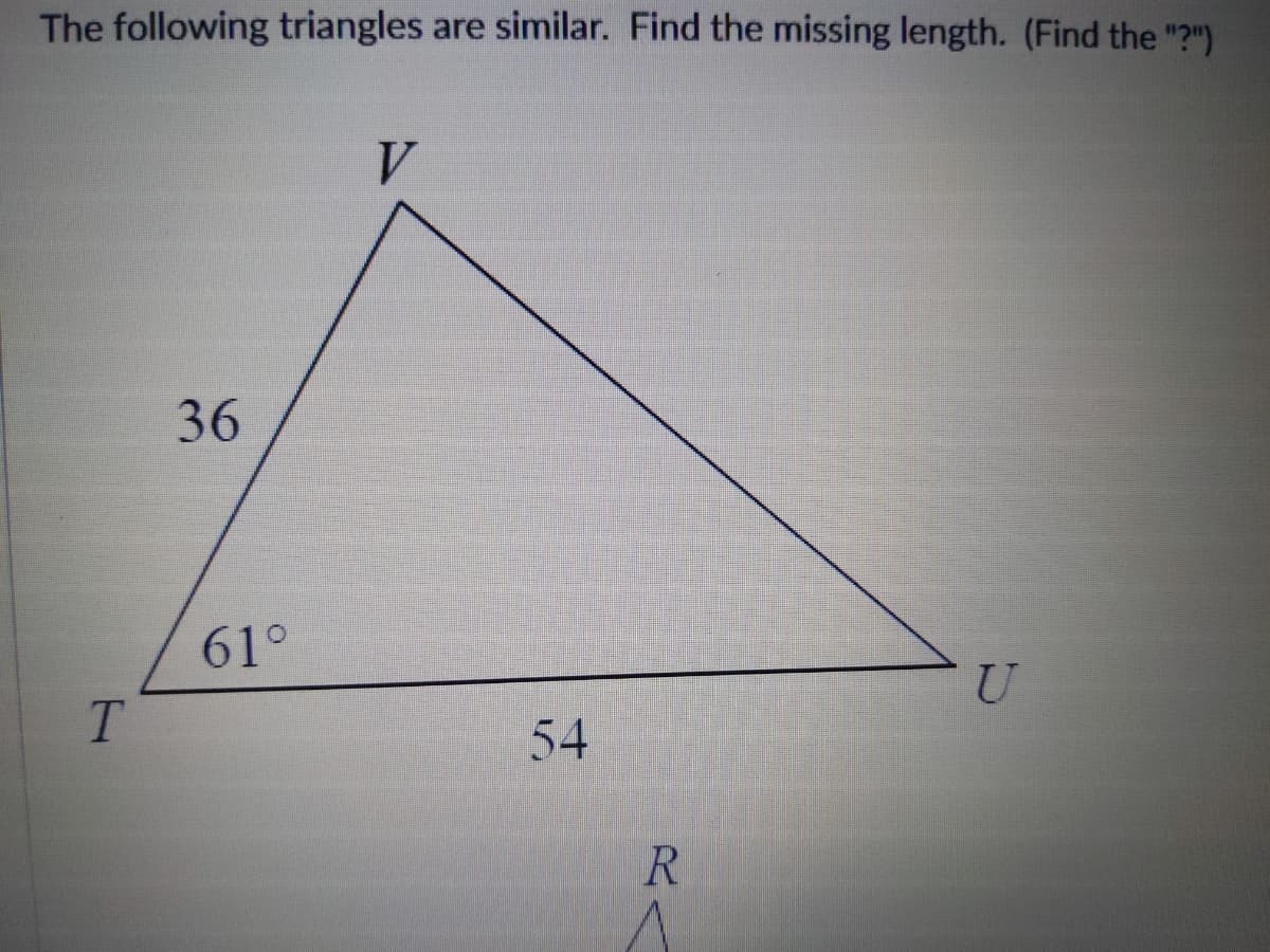 The following triangles are similar. Find the missing length. (Find the "?")
V.
36
61°
T.
54
R
