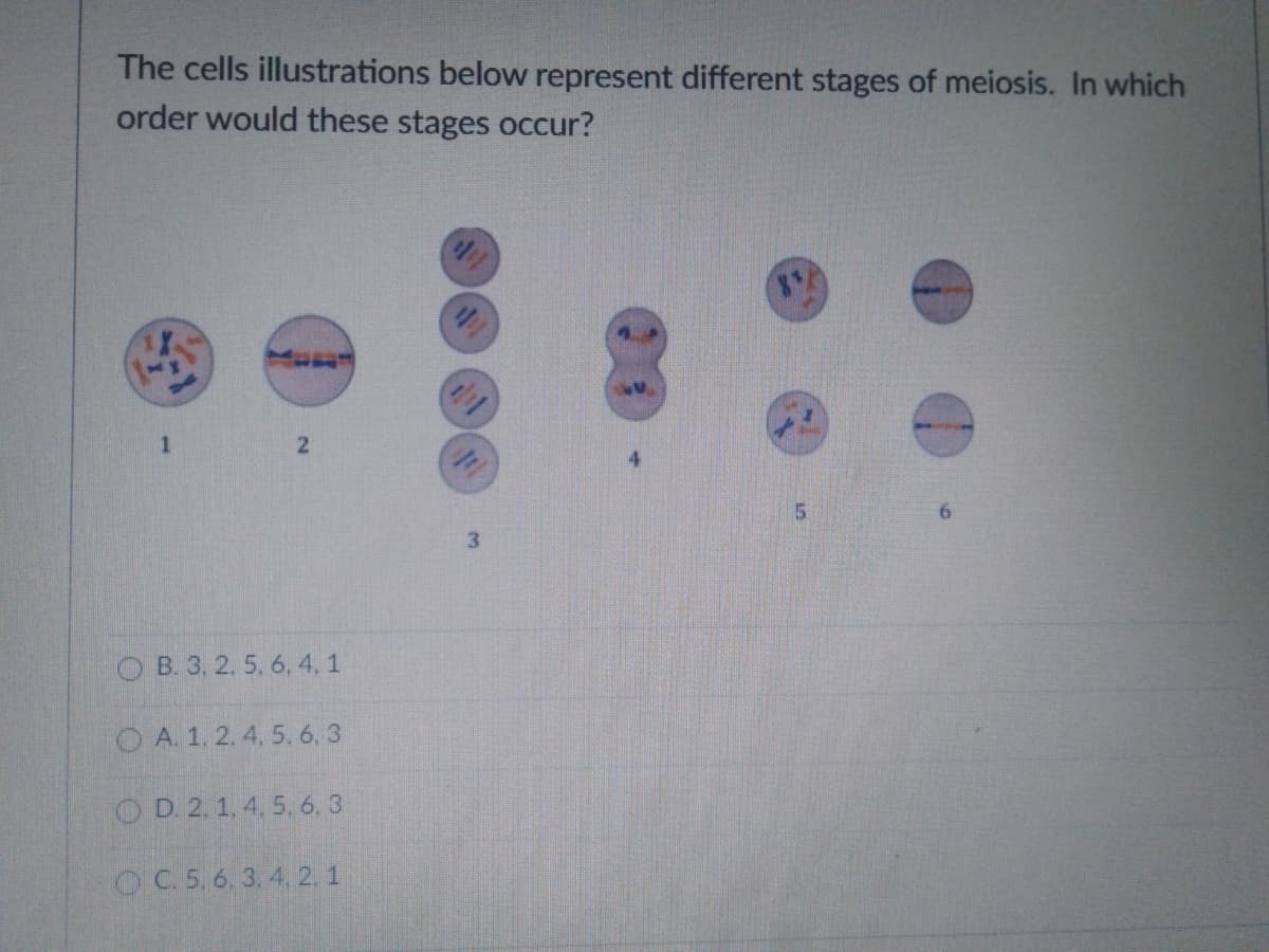The cells illustrations below represent different stages of meiosis. In which
order would these stages occur?
3
O B. 3, 2. 5, 6, 4, 1
O A. 1. 2.4, 5. 6. 3
OD 2. 1, 4, 5. 6. 3
O C. 5. 6, 3. 4, 2. 1
