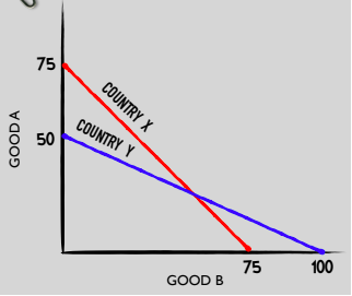 75
COUNTRY X
COUNTRY Y
50
100
75
GOOD B
GOODA
