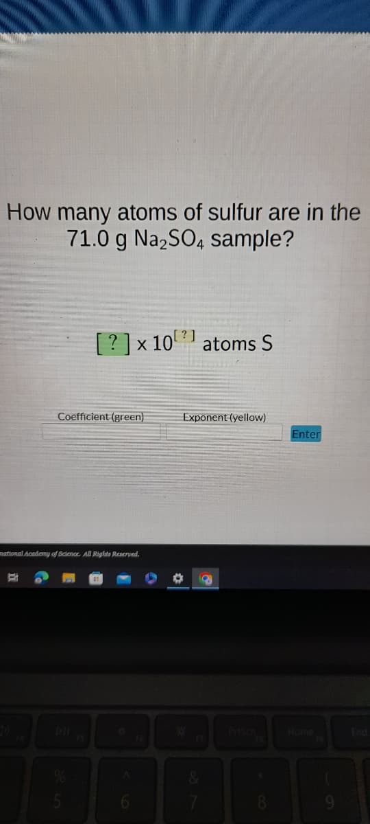 How many atoms of sulfur are in the
71.0 g Na₂SO4 sample?
Coefficient (green)
[?] x 10
national Academy of Science. All Rights Reserved.
5
[?]
6
atoms S
Exponent (yellow)
O a
F7
&
7
8
Enter
End