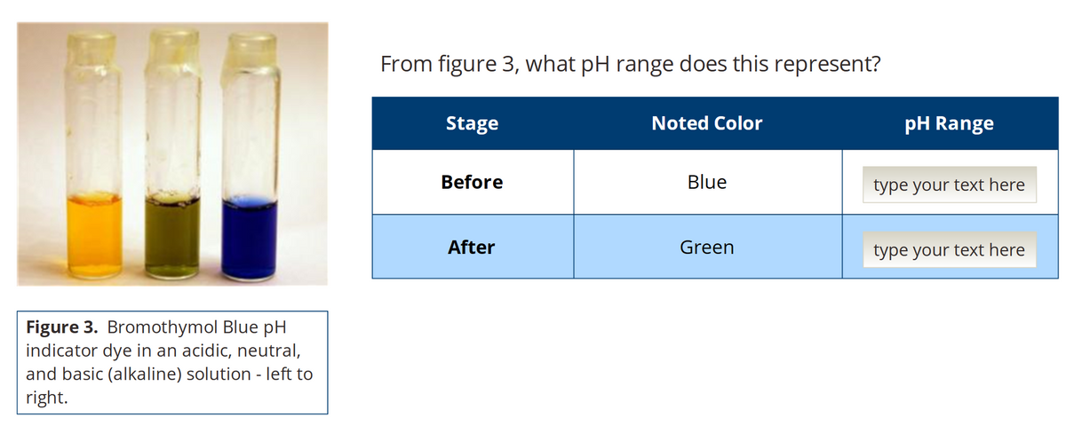 Figure 3. Bromothymol Blue pH
indicator dye in an acidic, neutral,
and basic (alkaline) solution - left to
right.
From figure 3, what pH range does this represent?
Stage
Before
After
Noted Color
Blue
Green
pH Range
type your text here
type your text here