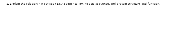 5. Explain the relationship between DNA sequence, amino acid sequence, and protein structure and function.