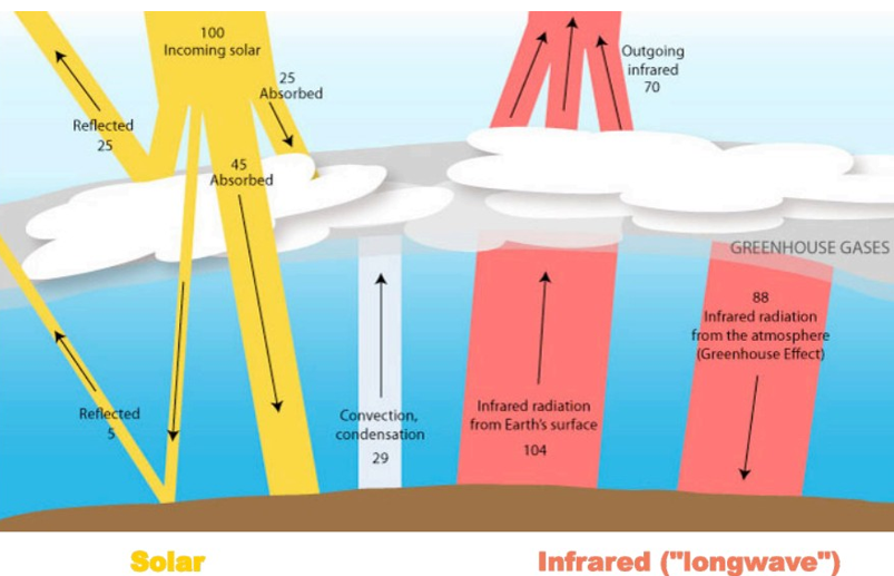 100
Outgoing
infrared
Incoming solar
25
70
Absorbed
Reflected
25
45
Absorbed
GREENHOUSE GASES
88
Infrared radiation
from the atmosphere
(Greenhouse Effect)
Convection,
condensation
Infrared radiation
from Earth's surface
Reflected
104
29
Solar
Infrared ("longwave")
