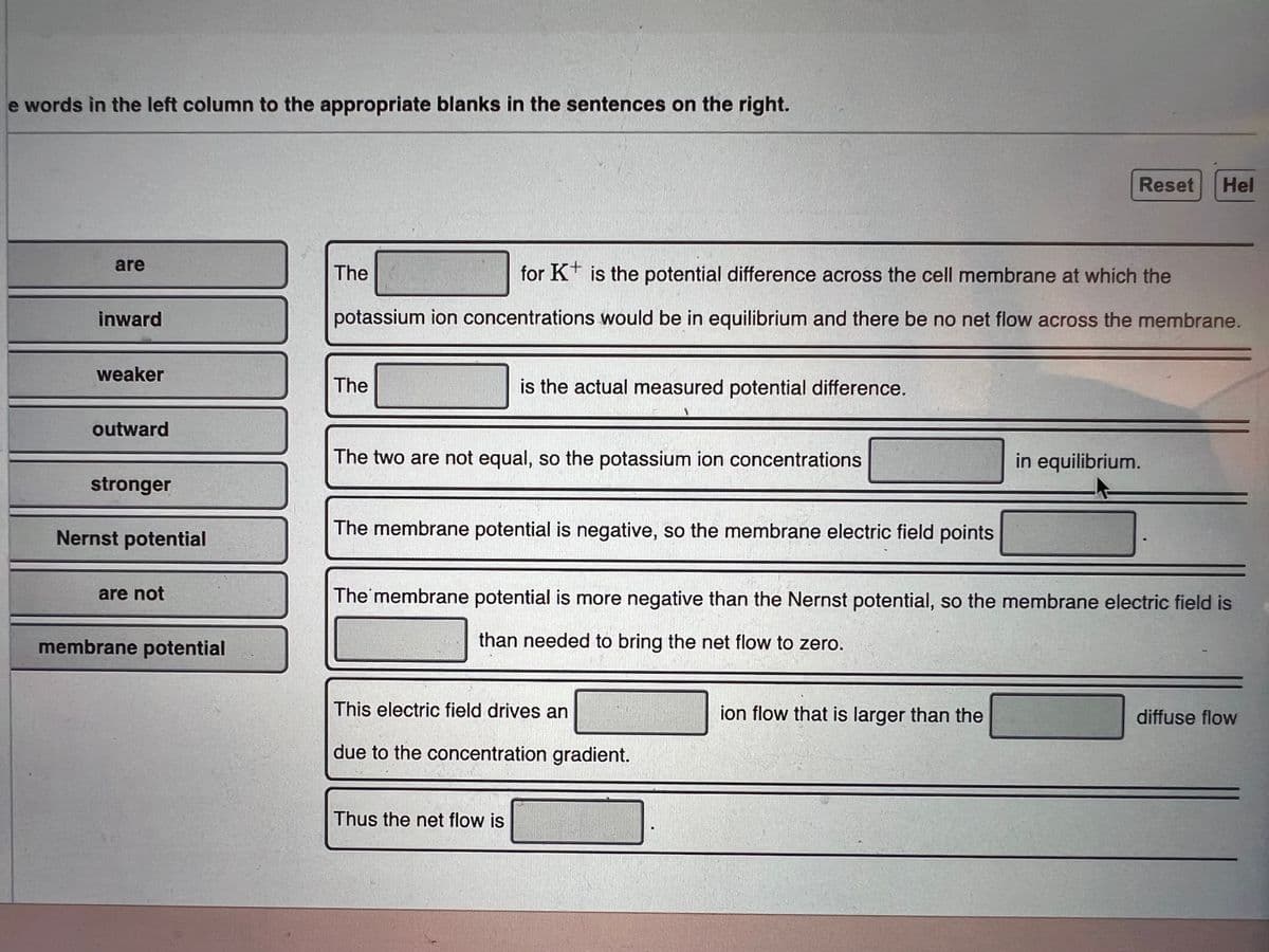 e words in the left column to the appropriate blanks in the sentences on the right.
Reset
Hel
are
The
for K* is the potential difference across the cell membrane at which the
inward
potassium ion concentrations would be in equilibrium and there be no net flow across the membrane.
weaker
The
is the actual measured potential difference.
outward
The two are not equal, so the potassium ion concentrations
in equilibrium.
stronger
Nernst potential
The membrane potential is negative, so the membrane electric field points
are not
The membrane potential is more negative than the Nernst potential, so the membrane electric field is
membrane potential
than needed to bring the net flow to zero.
This electric field drives an
ion flow that is larger than the
diffuse flow
due to the concentration gradient.
Thus the net flow is
