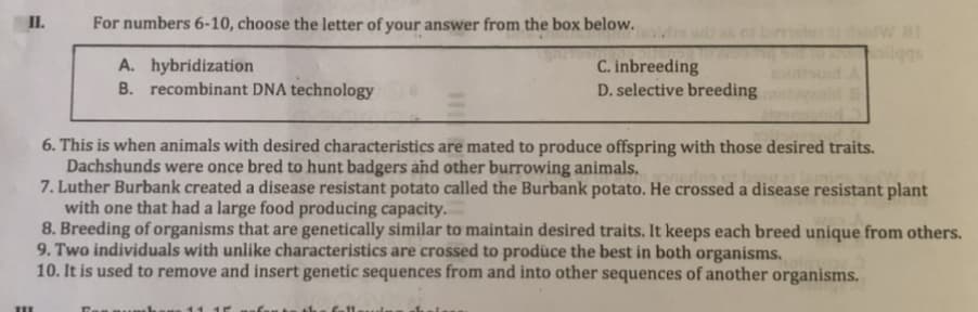 II.
For numbers 6-10, choose the letter of your answer from the box below.
bw.at
ilggs
A. hybridization
B. recombinant DNA technology
C. inbreeding
D. selective breeding
6. This is when animals with desired characteristics are mated to produce offspring with those desired traits.
Dachshunds were once bred to hunt badgers and other burrowing animals.
7. Luther Burbank created a disease resistant potato called the Burbank potato. He crossed a disease resistant plant
with one that had a large food producing capacity.
8. Breeding of organisms that are genetically similar to maintain desired traits. It keeps each breed unique from others.
9. Two individuals with unlike characteristics are crossed to prodüce the best in both organisms.
10. It is used to remove and insert genetic sequences from and into other sequences of another organisms.

