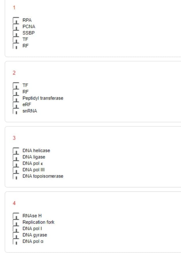 1
RPA
PCNA
SSBP
TF
RF
TF
RF
Peptidyl transferase
eRF
DNA helicase
DNA ligase
DNA pol a
DNA pol II
DNA topoisomerase
RNAse H
Replication fork
DNA pol I
DNA gyrase
DNA pol a
2.
3.
4.
