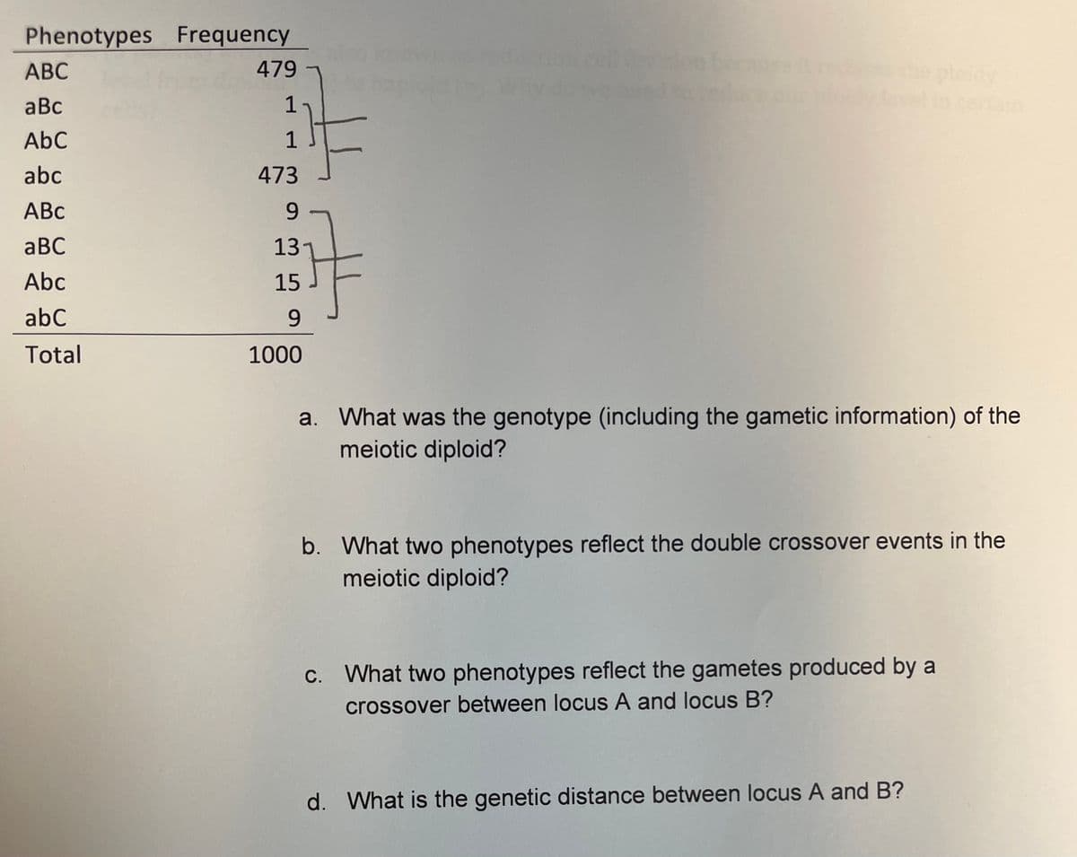 Phenotypes Frequency
he ploidy
ain
АВС
479
aBc
1
AbC
1
abc
473
ABC
9 -
aBC
13
Abc
15
abC
9.
Total
1000
a. What was the genotype (including the gametic information) of the
meiotic diploid?
b. What two phenotypes reflect the double crossover events in the
meiotic diploid?
c. What two phenotypes reflect the gametes produced by a
crossover between locus A and locus B?
d. What is the genetic distance between locus A and B?
