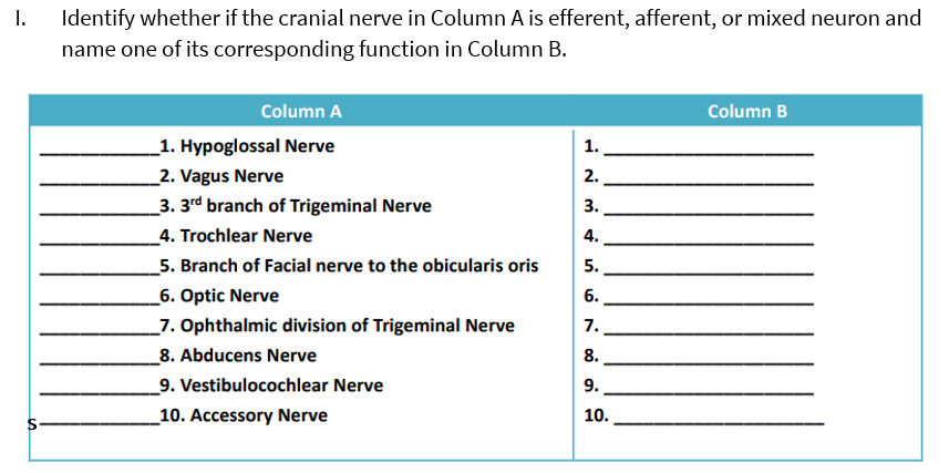 1.
Identify whether if the cranial nerve in Column A is efferent, afferent, or mixed neuron and
name one of its corresponding function in Column B.
Column A
Column B
_1. Hypoglossal Nerve
1.
_2. Vagus Nerve
2.
3. 3rd branch of Trigeminal Nerve
3.
4. Trochlear Nerve
4.
_5. Branch of Facial nerve to the obicularis oris
5.
_6. Optic Nerve
6.
_7. Ophthalmic division of Trigeminal Nerve
7.
_8. Abducens Nerve
8.
_9. Vestibulocochlear Nerve
9.
10. Accessory Nerve
10.
