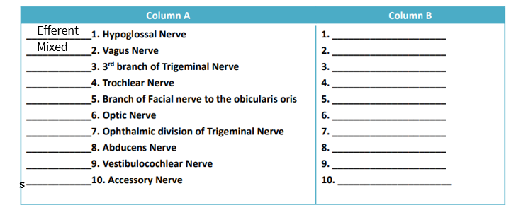 Column A
Column B
Efferent
_1. Hypoglossal Nerve
1.
Mixed
_2. Vagus Nerve
2.
_3. 3rd branch of Trigeminal Nerve
3.
4. Trochlear Nerve
4.
5. Branch of Facial nerve to the obicularis oris
5.
_6. Optic Nerve
6.
_7. Ophthalmic division of Trigeminal Nerve
7.
_8. Abducens Nerve
8.
_9. Vestibulocochlear Nerve
9.
10. Accessory Nerve
10.
