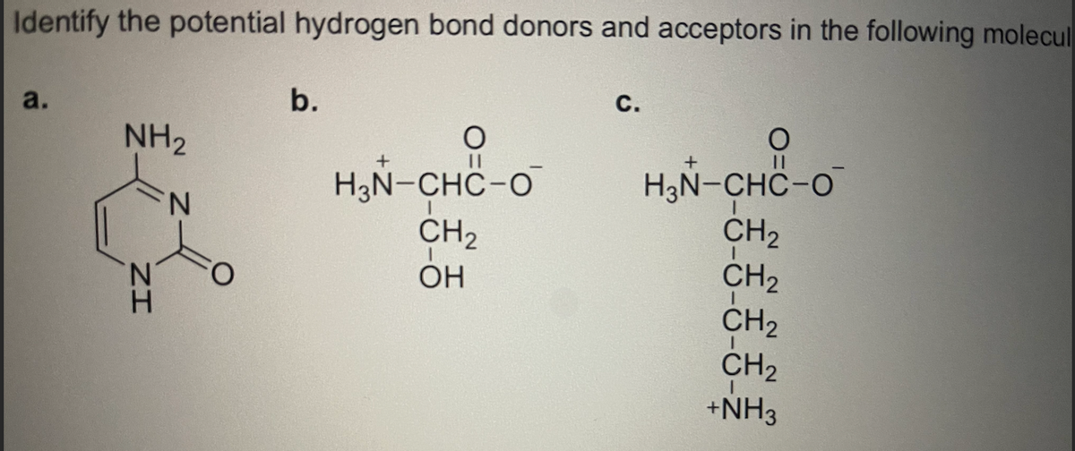 Identify the potential hydrogen bond donors and acceptors in the following molecul
a.
b.
с.
NH2
%3D
H3N-CHC-O
CH2
H3N-CHC-O
CH2
CH2
CH2
CH2
+NH3
N.
OH
ZI
