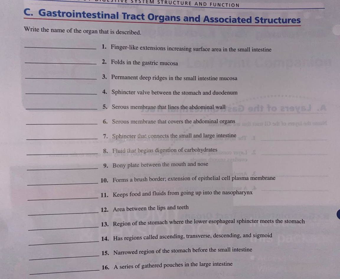 STRUCTURE AND FUNCTION
C. Gastrointestinal Tract Organs and Associated Structures
Write the name of the organ that is described.
1. Finger-like extensions increasing surface area in the small intestine
2. Folds in the gastric mucosa
3. Permanent deep ridges in the small intestine mucosa
4. Sphincter valve between the stomach and duodenum
5. Serous membrane that lines the abdominal wall
orlt to 21eys A
6. Serous membrane that covers the abdominal organs
Jodi to ID sdt lo moyal sdh on
7. Sphincter that connects the small and large intestine
8. Fluid that begins digestion of carbohydrates
9. Bony plate between the mouth and nose
HoonA
10. Forms a brush border; extension of epithelial cell plasma membrane
11. Keeps food and fluids from going up into the nasopharynx
12. Area between the lips and teeth
13. Region of the stomach where the lower esophageal sphincter meets the stomach
14. Has regions called ascending, transverse, descending, and sigmoid
pack
15. Narrowed region of the stomach before the small intestine
16. A series of gathered pouches in the large intestine
