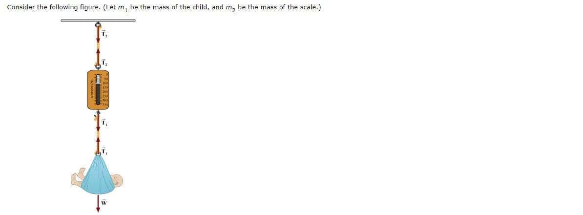 Consider the following figure. (Let m₁ be the mass of the child, and m₂ be the mass of the scale.)
T₂
T₁
T₁
W