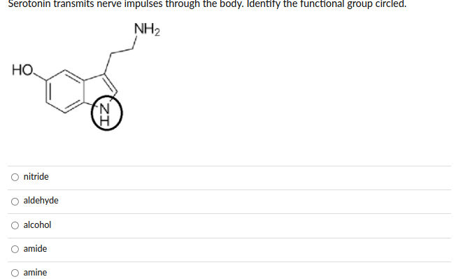Serotonin transmits nerve impulses through the body. Identify the functional group circled.
NH2
HO.
nitride
aldehyde
alcohol
amide
amine
