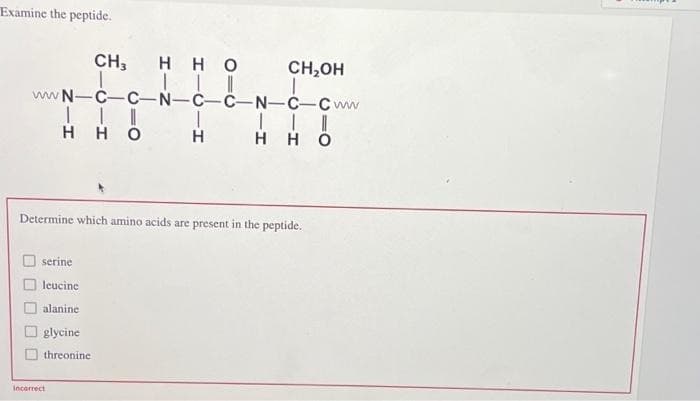 Examine the peptide.
CH3 нно
| | |
CH,OH
wwN-C-C-N-C-C-N-C-C ww
| | |
нно
serine
leucine
alanine
glycine
threonine
Incorrect
T
Н
Determine which amino acids are present in the peptide.
нно