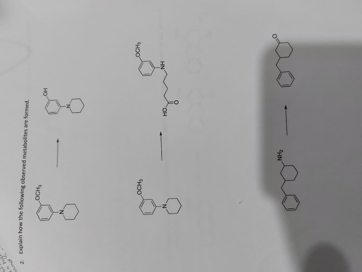 a high
ound
LOCH 3
2. Explain how the following observed metabolites are formed.
8-8"
OH
OCH 3
go – que
NH
HO.
NH₂
LOCH 3