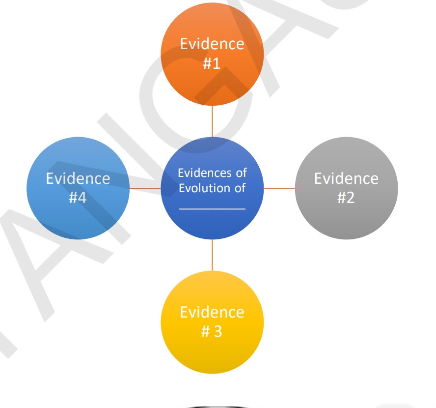 Evidence
#1
Evidences of
Evidence
Evidence
Evolution of
#4
#2
Evidence
# 3
