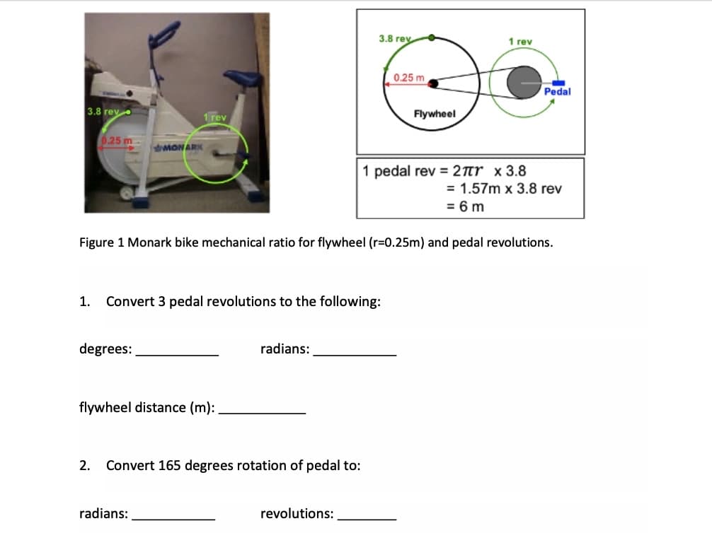 3.8 rev
1 rev
0.25 m
o
1 rev
Pedal
Flywheel
3.8 rev
0.25 m
MONARK
1 pedal rev = 2πr x 3.8
= 1.57m x 3.8 rev
= 6m
Figure 1 Monark bike mechanical ratio for flywheel (r=0.25m) and pedal revolutions.
1. Convert 3 pedal revolutions to the following:
degrees:
radians:
flywheel distance (m):
2. Convert 165 degrees rotation of pedal to:
radians:
revolutions: