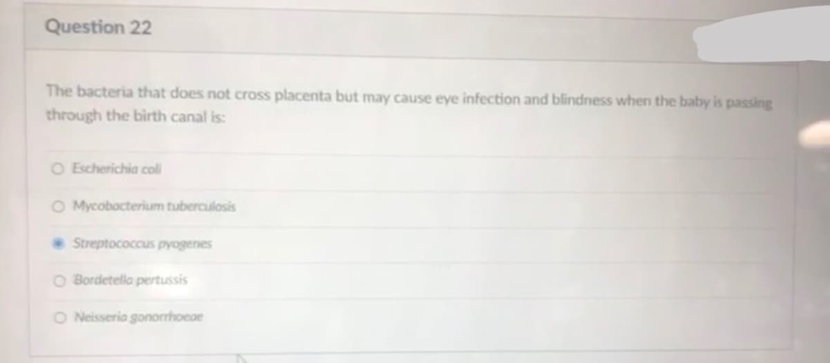 Question 22
The bacteria that does not cross placenta but may cause eye infection and blindness when the baby is passing
through the birth canal is:
O Escherichia coli
O Mycobacterium tuberculosis
• Streptococcus pyogenes
O Bordetella pertussis
O Neisseria gononhoeae
