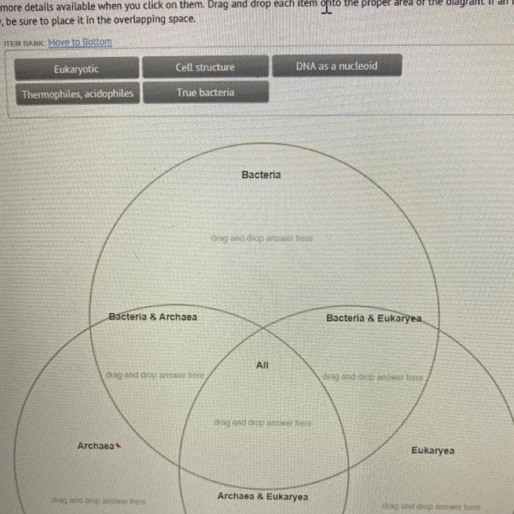 more details available when you click on them. Drag and drop each item
, be sure to place it in the overlapping space.
the proper area of the diagral
ITEM BANK: MOve to Bottom
Eukaryotic
Cell structure
DNA as a nucleoid
Thermophiles, acidophiles
True bacteria
Bacteria
drag and diop answer here
Bacteria & Archaea
Bacteria & Eukaryea
All
drag and drop answar hore
dg and diop answer here
drag and drop answer iere
Archaea
Eukaryea
Archaea & Eukaryea
drag and drop answer here
drag and drop answer here
