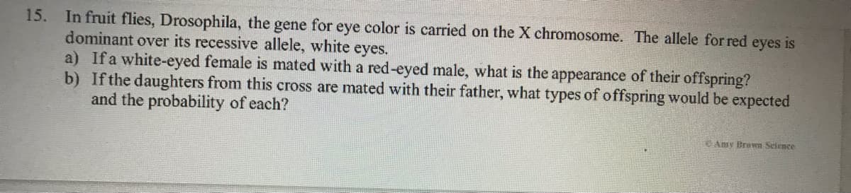 15. In fruit flies, Drosophila, the gene for eye color is carried on the X chromosome. The allele for red eyes is
dominant over its recessive allele, white eyes.
a) If a white-eyed female is mated with a red-eyed male, what is the appearance of their offspring?
b) If the daughters from this cross are mated with their father, what types of offspring would be expected
and the probability of each?
Amy Brown Selence
