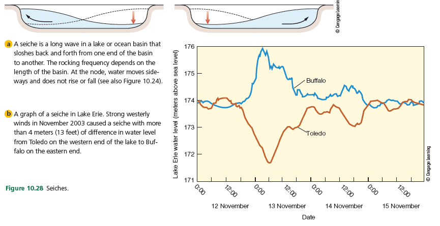 176
A seiche is a long wave in a lake or ocean basin that
Buffalo
to another. The rocking frequency depends on the
length of the basin. At the node, water moves side-
ways and does not rise or fall (see also Figure 10.24).
sloshes back and forth from one end of the basin
175 E
174
Toledo
173
A graph of a seiche in Lake Erie. Strong westerly
winds in November 2003 caused a seiche with more
than 4 meters (13 feet) of difference in water level
172 E
12:00
from Toledo on the western end of the lake to Buf-
12:00
falo on the eastern end.
171
0:00
12:00
0:00
15 November
14 November
13 November
Date
12 November
Figure 10.28 Seiches.
BujuJeen abetueg o
0:00
0.00
12:00
Lake Erie water level (meters above sea level)
