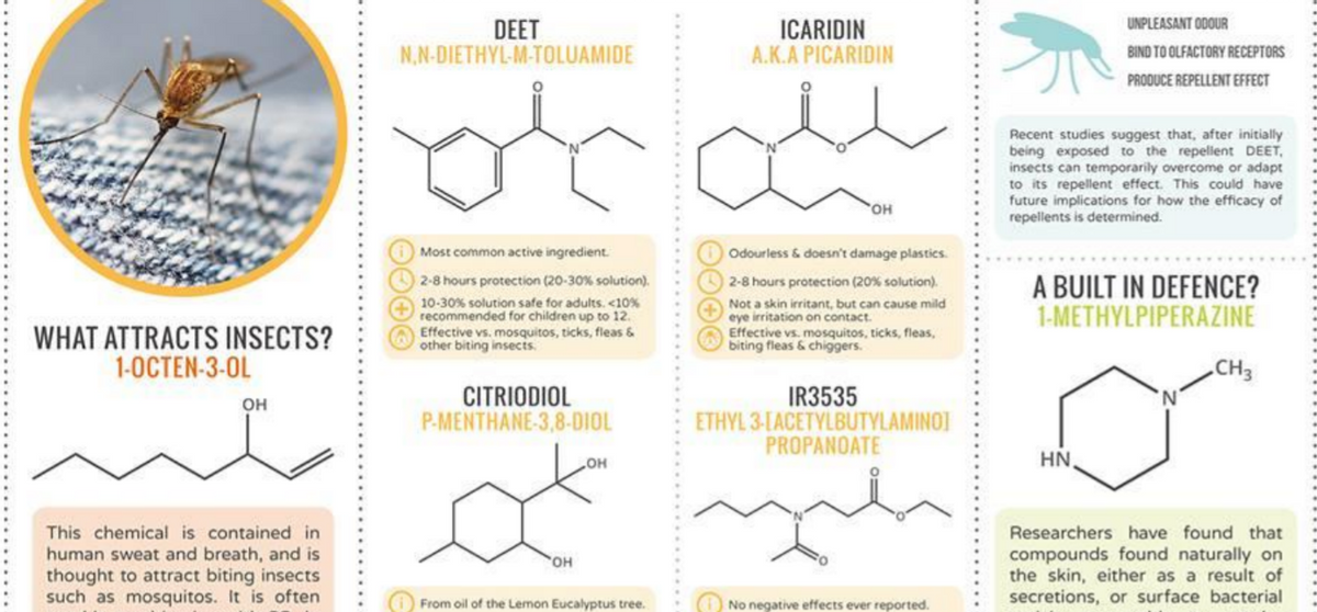 UNPLEASANT ODOUR
DEET
N.N-DIETHYL-M-TOLUAMIDE
ICARIDIN
A.K.A PICARIDIN
BIND TO OLFACTORY RECEPTORS
PRODUCE REPELLENT EFFECT
Recent studies suggest that, after initially
being exposed to the repellent DEET,
insects can temporarily overcome or adapt
to its repellent effect. This could have
future implications for how the efficacy of
repellents is determined.
HO,
Most common active ingredient.
Odourless & doesn't damage plastics.
2-8 hours protection (20-30% solution).
A BUILT IN DEFENCE?
1-METHYLPIPERAZINE
2-8 hours protection (20% solution).
10-30% solution safe for adults. <10%
recommended for children up to 12.
Effective vs. mosquitos, ticks, fleas &
other biting insects.
Not a skin irritant, but can cause mild
eye irritation on contact.
Effective vs. mosquitos, ticks, fleas,
biting fleas & chiggers.
WHAT ATTRACTS INSECTS?
1-0CTEN-3-OL
CH3
IR3535
CITRIODIOL
P-MENTHANE-3,8-DIOL
Он
ETHYL 3-TACETYLBUTYLAMINOI
PROPANOATE
HO
HN,
This chemical is contained in
Researchers have found that
human sweat and breath, and is
thought to attract biting insects
such as mosquitos. It is often
compounds found naturally on
the skin, either as a result of
secretions, or surface bacterial
HO
From oil of the Lemon Eucalyptus tree.
No negative effects ever reported.
