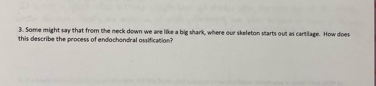 3. Some might say that from the neck down we are like a big shark, where our skeleton starts out as cartilage. How does
this describe the process of endochondral ossification??
