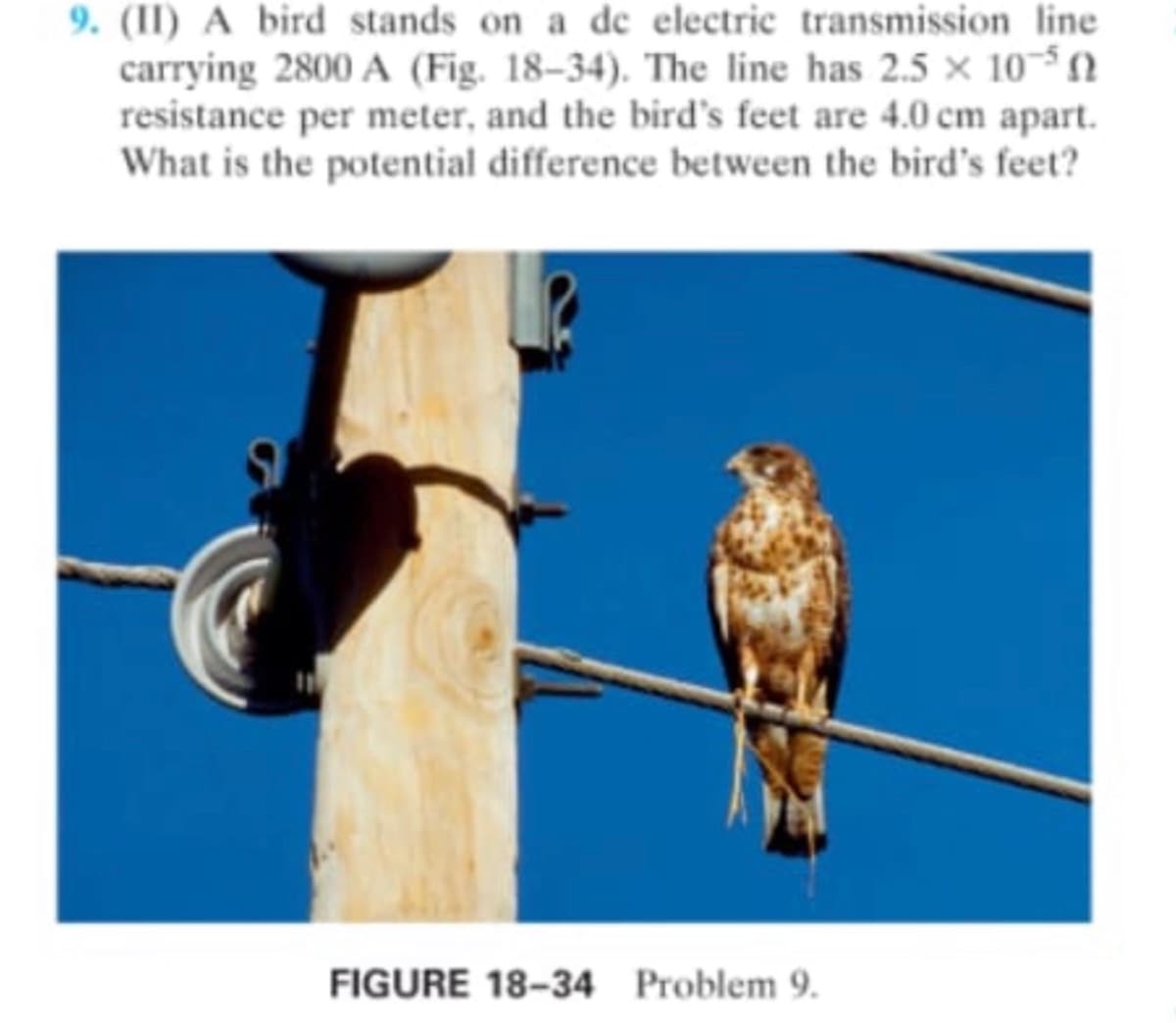 9. (II) A bird stands on a de electric transmission line
carrying 2800 A (Fig. 18–34). The line has 2.5 × 10~$ N
resistance per meter, and the bird's feet are 4.0 cm apart.
What is the potential difference between the bird's feet?
FIGURE 18-34 Problem 9.
