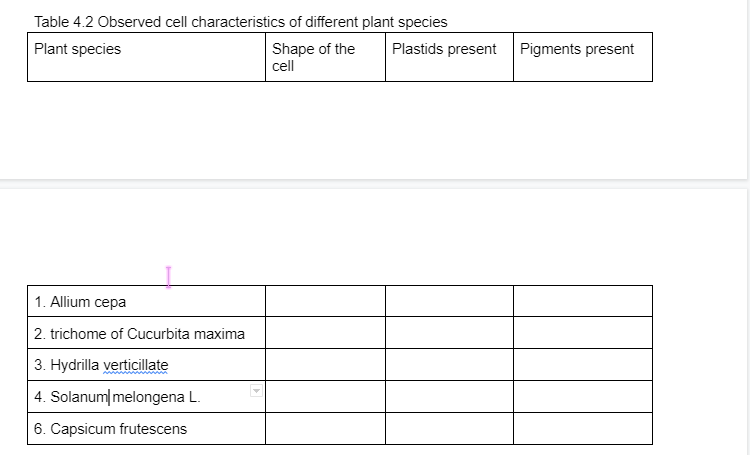 Table 4.2 Observed cell characteristics of different plant species
Plant species
Shape of the
cll
Plastids present Pigments present
1. Allium cepa
2. trichome of Cucurbita maxima
3. Hydrilla verticillate
4. Solanum melongena L.
6. Capsicum frutescens
