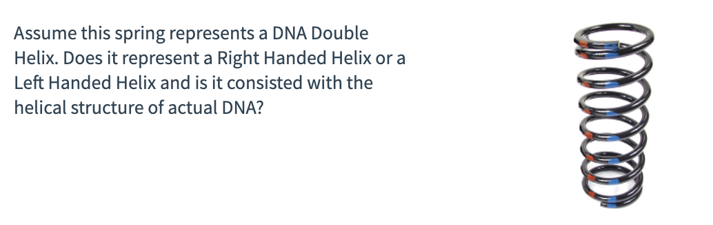 Assume this spring represents a DNA Double
Helix. Does it represent a Right Handed Helix or a
Left Handed Helix and is it consisted with the
helical structure of actual DNA?
mero