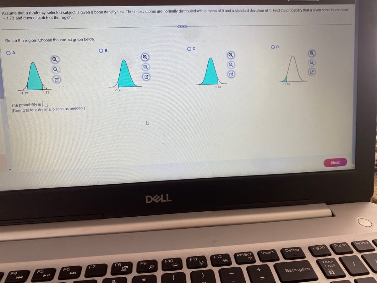 Assume that a randomly selected subject is given a bone density test. Those test scores are normally distributed with a mean of 0 and a standard deviation of 1. Find the probability that a given score is less than
-1.73 and draw a sketch of the region.
Sketch the region. Choose the correct graph below.
O A.
A
-1.73
1.73
The probability is
(Round to four decimal places as needed.).
F4
144
F5
➤11
F6
A
F7
OB.
-1.73
F8
&
8₁
S
Q
DELL
F9
*
S
F10
SC
(
OC.
F11
)
1.73
F12
Q
-
PrtScr
"20
Insert
+
OD.
=
A
-1.73
Delete
Backspace
PgUp
Next
PgDn
Num
Lock
9
Home
1