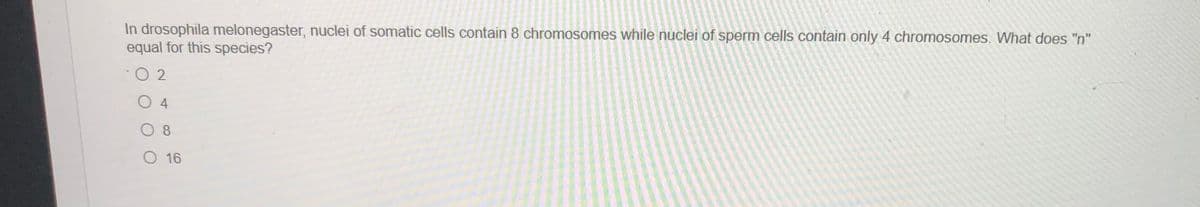 In drosophila melonegaster, nuclei of somatic cells contain 8 chromosomes while nuclei of sperm cells contain only 4 chromosomes. What does "n"
equal for this species?
O 2
4
8.
O 16
