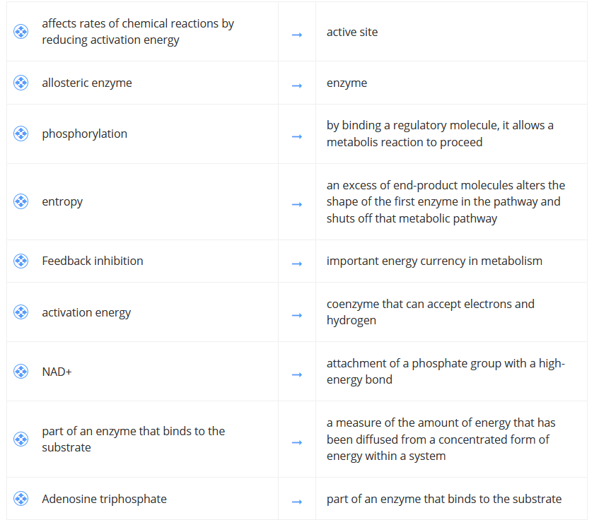 affects rates of chemical reactions by
reducing activation energy
active site
allosteric enzyme
enzyme
by binding a regulatory molecule, it allows a
metabolis reaction to proceed
O phosphorylation
an excess of end-product molecules alters the
shape of the first enzyme in the pathway and
shuts off that metabolic pathway
entropy
Feedback inhibition
important energy currency in metabolism
coenzyme that can accept electrons and
hydrogen
activation energy
attachment of a phosphate group with a high-
NAD+
energy bond
a measure of the amount of energy that has
part of an enzyme that binds to the
been diffused from a concentrated form of
substrate
energy within a system
Adenosine triphosphate
part of an enzyme that binds to the substrate
